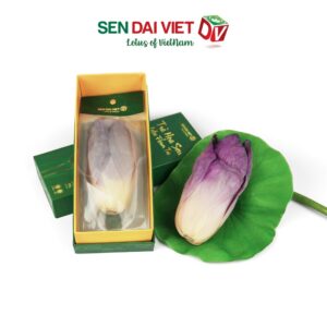 Trà hoa sen hồng Đại Việt - 11g/bông